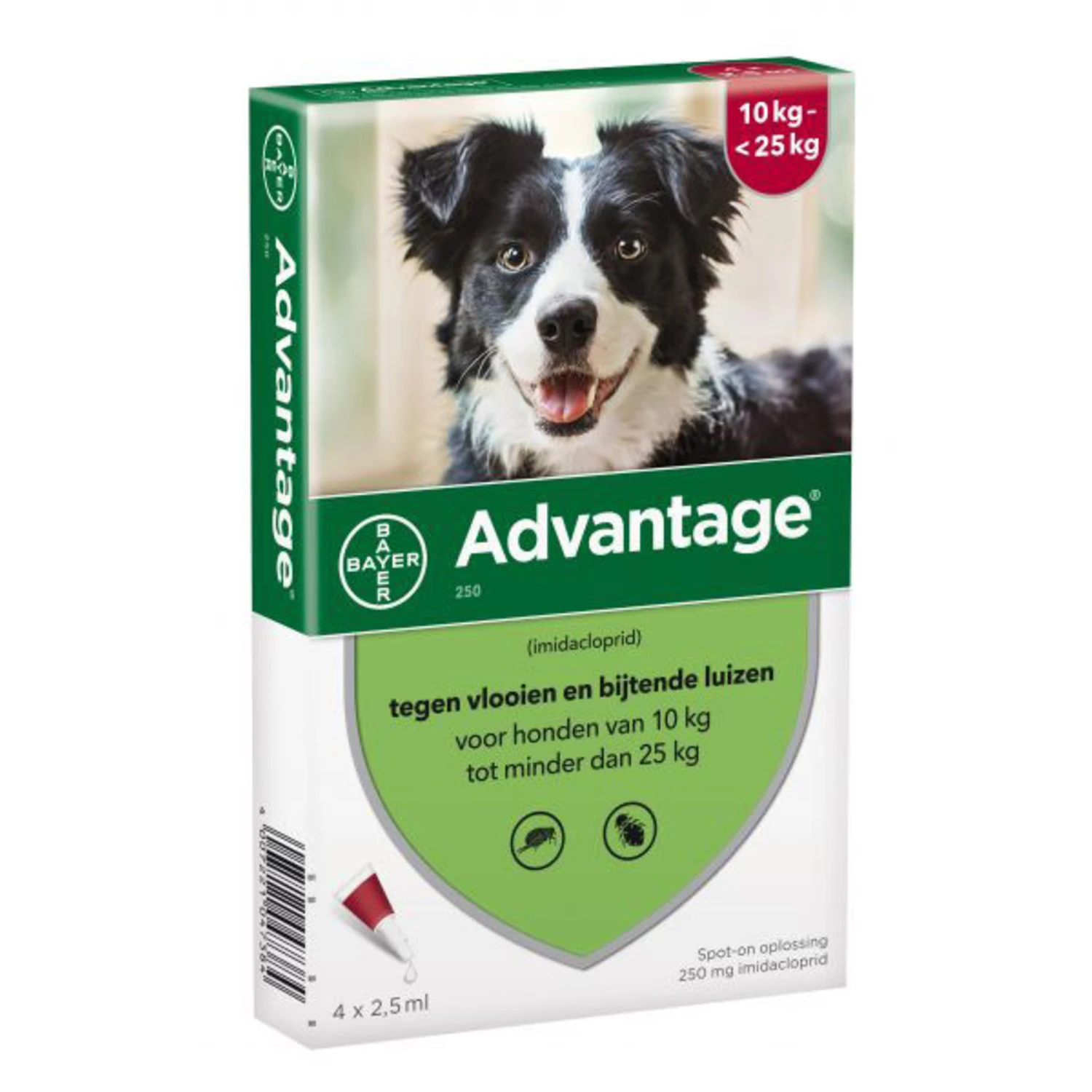 Advantage Advantage Hond 250 - 10-25 Kilo 4 Pip 3 Advantage Advantage Hond 250 - 10-25 Kilo 4 Pip