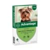 Advantage Advantage Hond 40 - Tot 4 Kilo 4 Pip 1 Advantage Advantage Hond 40 - Tot 4 Kilo 4 Pip -Hondenbenodigdheden Winkel advantage advantage hond 40 tot 4 kilo 4 pip