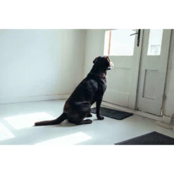 Bark-Bite Bark-Bite Snackbox - Grote Hond