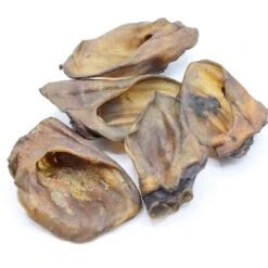 Bark-Bite Bark-Bite Wilde Zwijnenoren – 10 Stuks -Hondenbenodigdheden Winkel bark bite bark bite wilde zwijnenoren 10 stuks 1