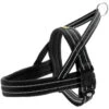 Hunter Hunter Harness Norweger Meldal - Zwart -Hondenbenodigdheden Winkel hunter hunter harness norweger meldal zwart