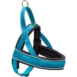 Hunter Hunter Harness Norweger Racing - Petrol-Zwart -Hondenbenodigdheden Winkel hunter hunter harness norweger racing petrol zwart 4