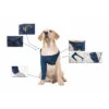 MPS Medical Pet Shirt TAZ Front Leg - 1 Stuk -Hondenbenodigdheden Winkel mps medical pet shirt taz front leg 1 stuk