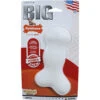 Nylabone Nylabone Regular Original Galileo - Souper - Big Chew -Hondenbenodigdheden Winkel nylabone nylabone regular original galileo souper