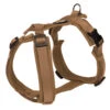 Petlando Petlando Mesh Y-Comfort Harness - Cognac -Hondenbenodigdheden Winkel petlando petlando mesh y comfort harness cognac