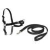 PetSafe Easy Walk Harness -Hondenbenodigdheden Winkel petsafe easy walk harness