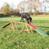 Trixie Trixie Agility Brug - 456x64x30 Cm - Tot 80 Kilo -Hondenbenodigdheden Winkel trixie trixie agility brug 456x64x30 cm tot 80 kil