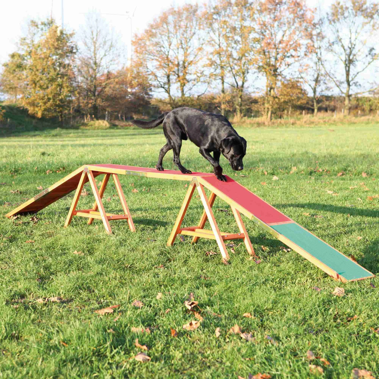 Trixie Trixie Agility Brug - 456x64x30 Cm - Tot 80 Kilo 3 Trixie Trixie Agility Brug - 456x64x30 Cm - Tot 80 Kilo