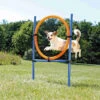 Trixie Trixie Agility Fun Ring - 115 × ø 3 Cm, ø 65 Cm -Hondenbenodigdheden Winkel trixie trixie agility fun ring 115 o 3 cm o 65 cm
