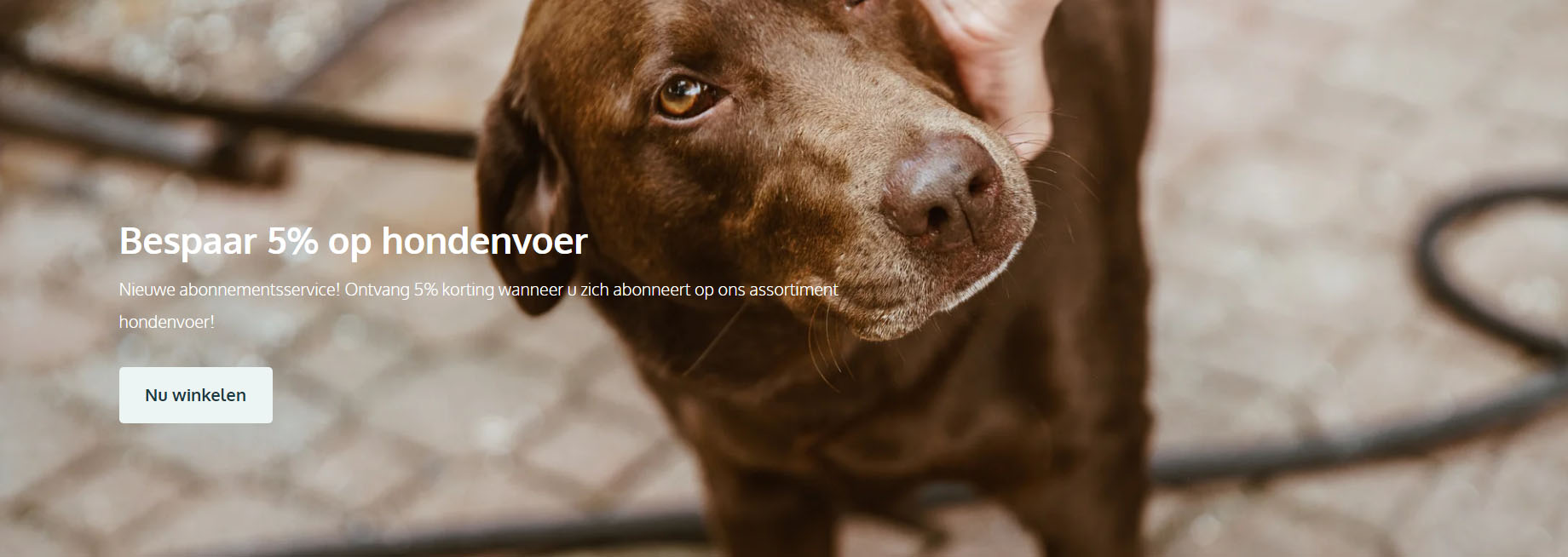 Hondenbenodigdheden Winkel -Hondenbenodigdheden Winkel
